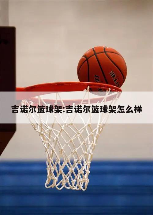 吉诺尔篮球架:吉诺尔篮球架怎么样